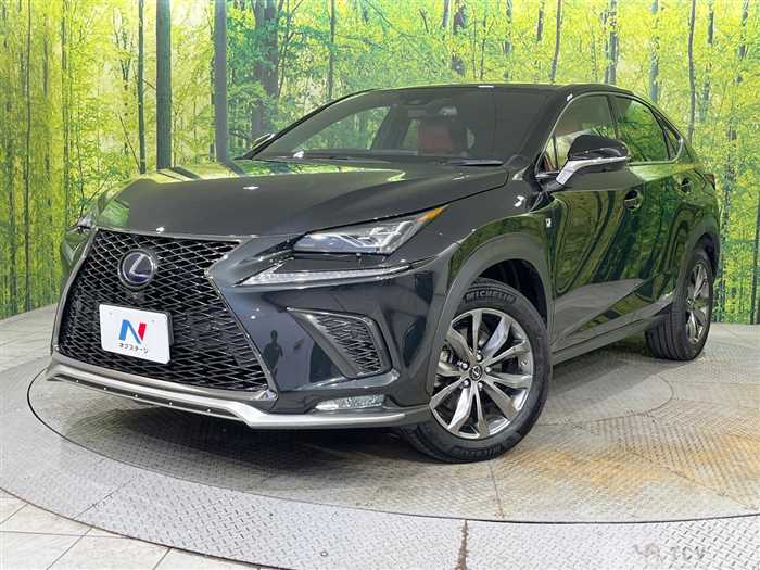 2019 Lexus NX