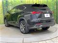 2019 Lexus NX