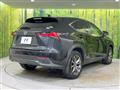 2019 Lexus NX