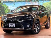 2019 Lexus NX