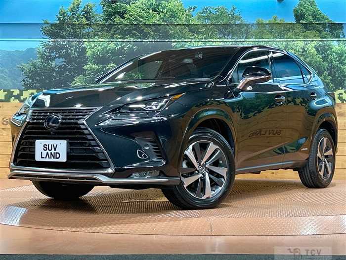 2020 Lexus NX