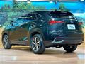 2020 Lexus NX