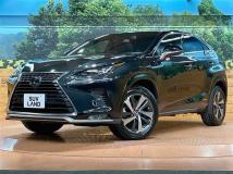 2020 Lexus NX