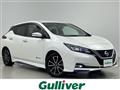 2017 Nissan Leaf