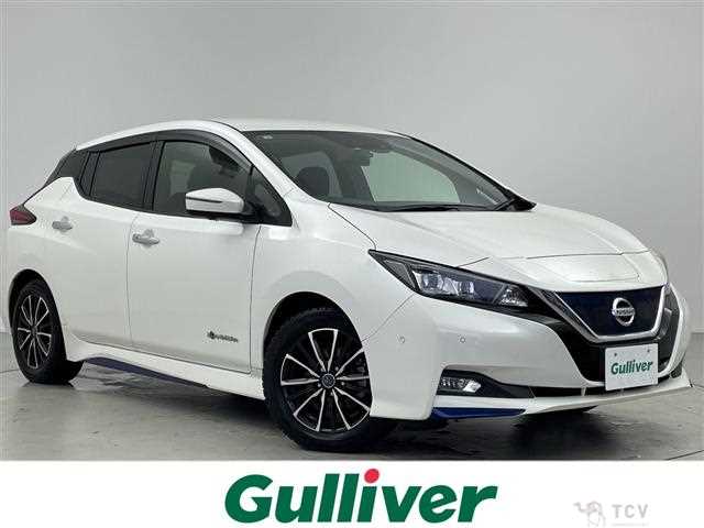 2017 Nissan Leaf