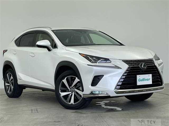 2019 Lexus NX