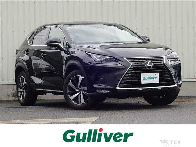 2019 Lexus NX