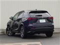 2019 Lexus NX