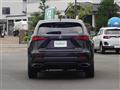 2019 Lexus NX