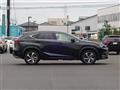 2019 Lexus NX