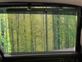 2023 Honda Freed