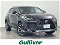 2018 Lexus NX