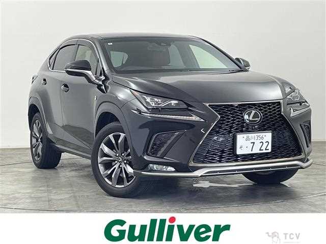2018 Lexus NX