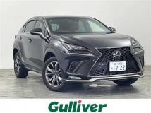 2018 Lexus NX
