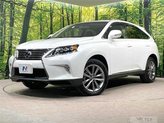 2013 Lexus RX