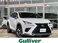 2021 Lexus NX