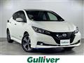 2021 Nissan Leaf