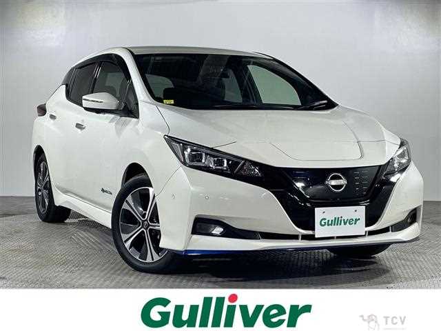 2021 Nissan Leaf