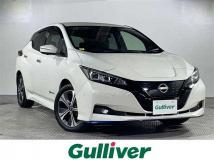 2021 Nissan Leaf