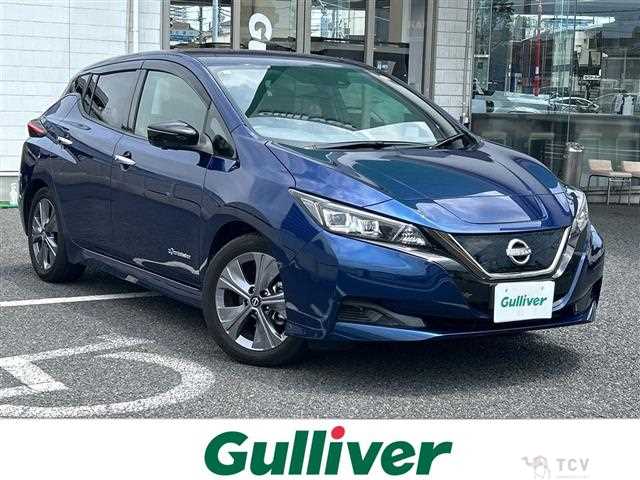 2021 Nissan Leaf