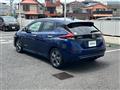 2021 Nissan Leaf