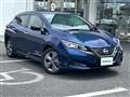 2021 Nissan Leaf