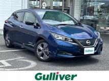 2021 Nissan Leaf