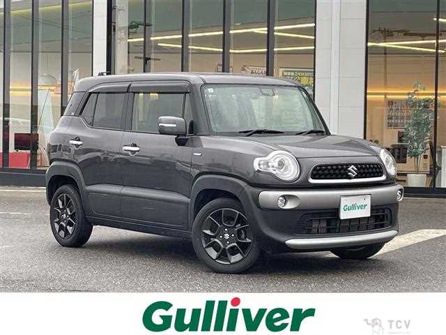 2019 Suzuki XBEE