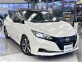 2021 Nissan Leaf