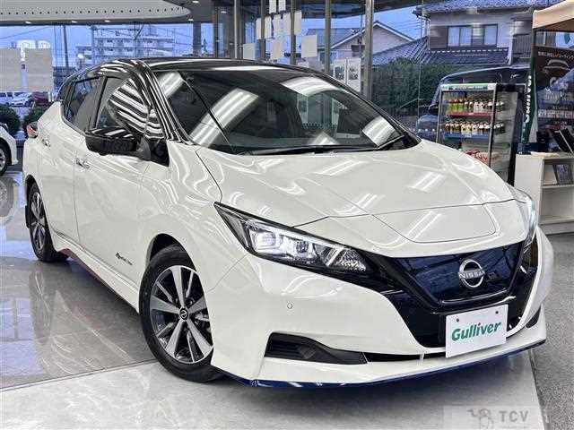 2021 Nissan Leaf