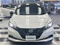 2021 Nissan Leaf