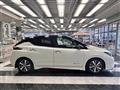 2021 Nissan Leaf