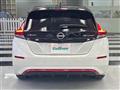 2021 Nissan Leaf
