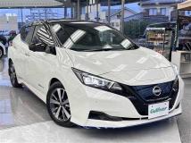 2021 Nissan Leaf