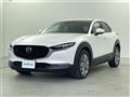 2020 Mazda CX-3