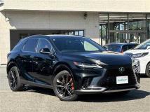 2025 Lexus RX