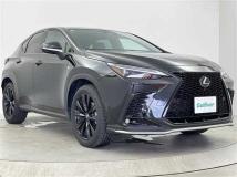 2025 Lexus NX