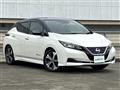 2019 Nissan Leaf
