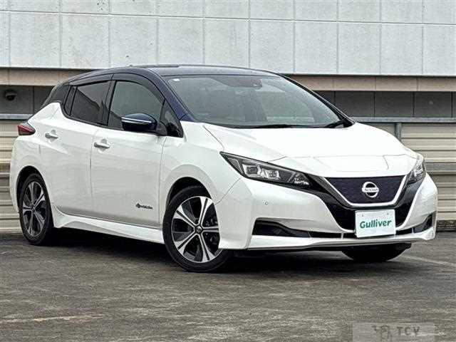 2019 Nissan Leaf