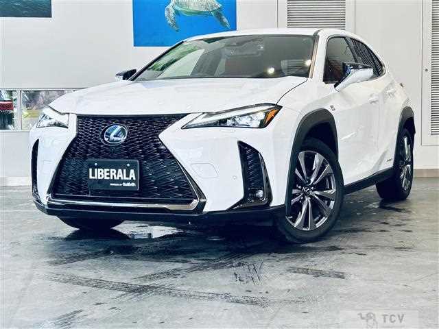 2020 Lexus UX