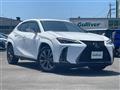 2020 Lexus UX