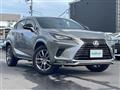 2021 Lexus NX