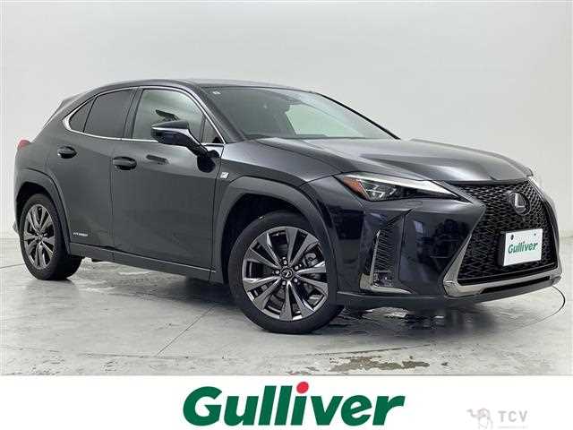 2019 Lexus UX