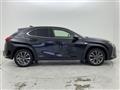 2019 Lexus UX
