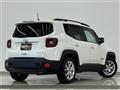 2021 Chrysler Renegade