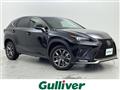 2018 Lexus NX