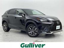 2018 Lexus NX