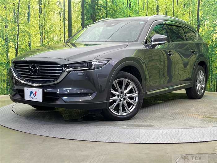 2017 Mazda CX-8