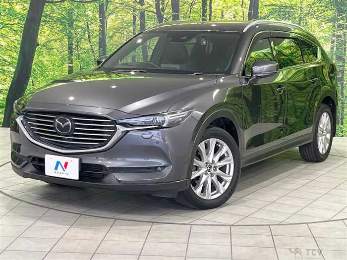 2018 Mazda CX-8