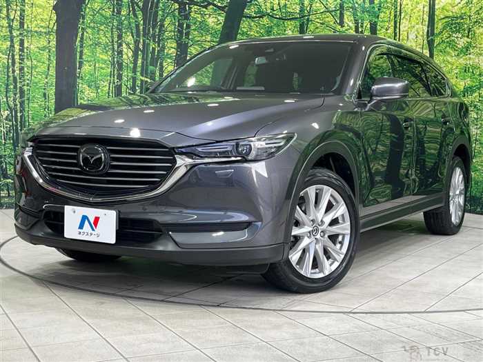 2018 Mazda CX-8